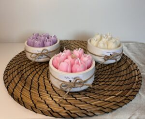 Liten tulipan beholder 🌷