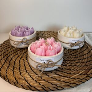 Liten tulipan beholder 🌷